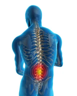 Anatomical illustration of human skeleton and spine from behind with lower back highlighted in red indicating pain or injury